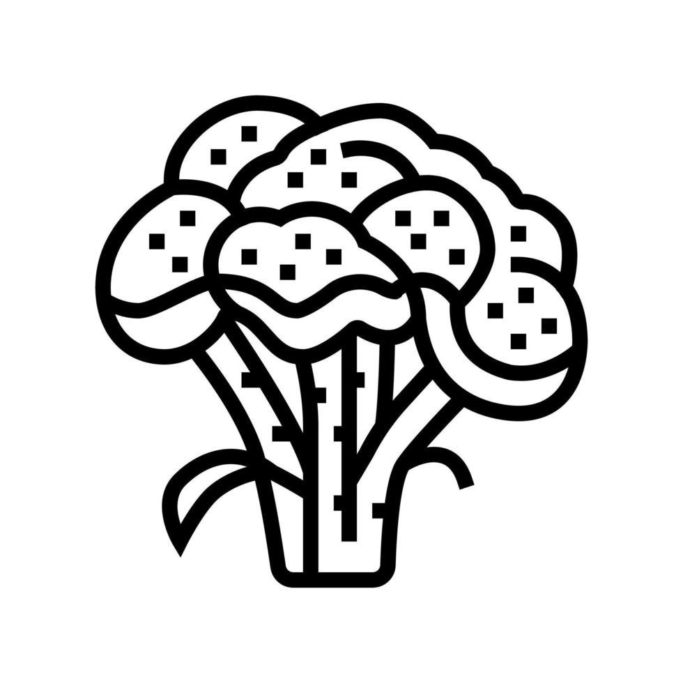 Brokkoli Vitamin Pflanze Symbol Leitung Vektor Illustration