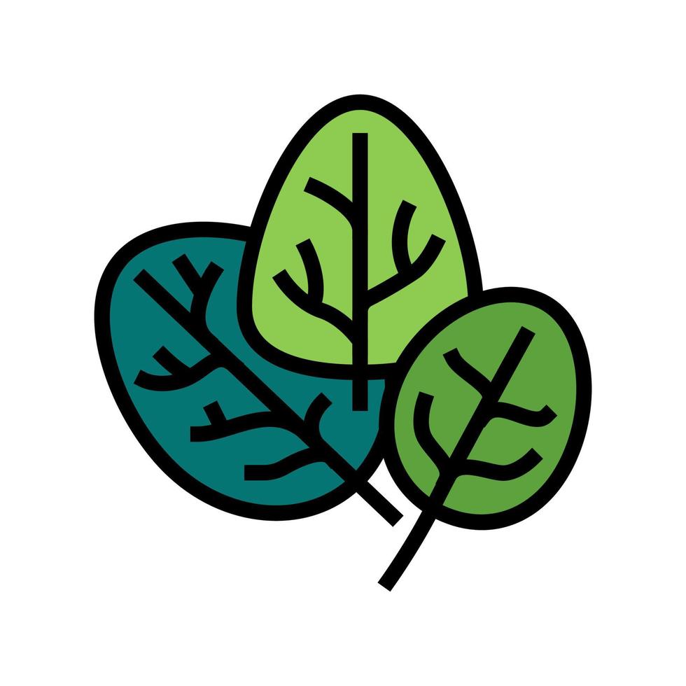 Spinat Pflanze Farbe Symbol Vektor Illustration