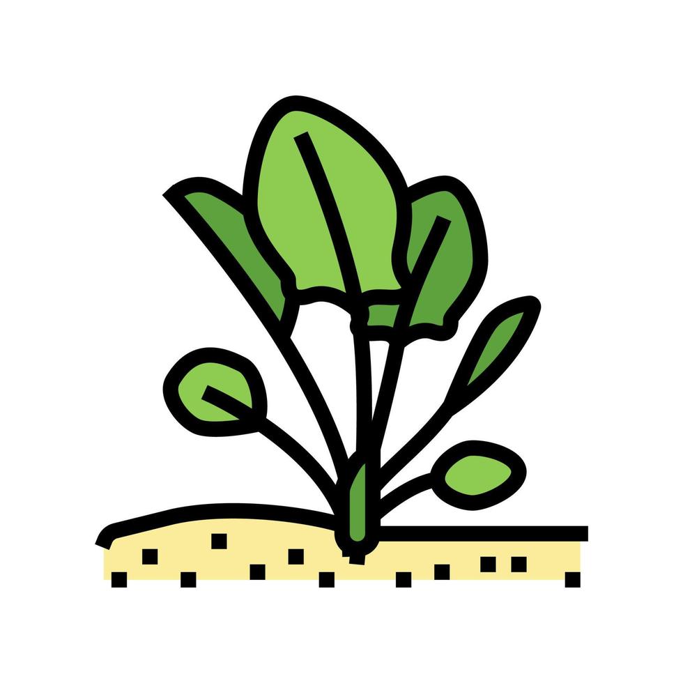 växt spenat växande färg ikon vektor illustration