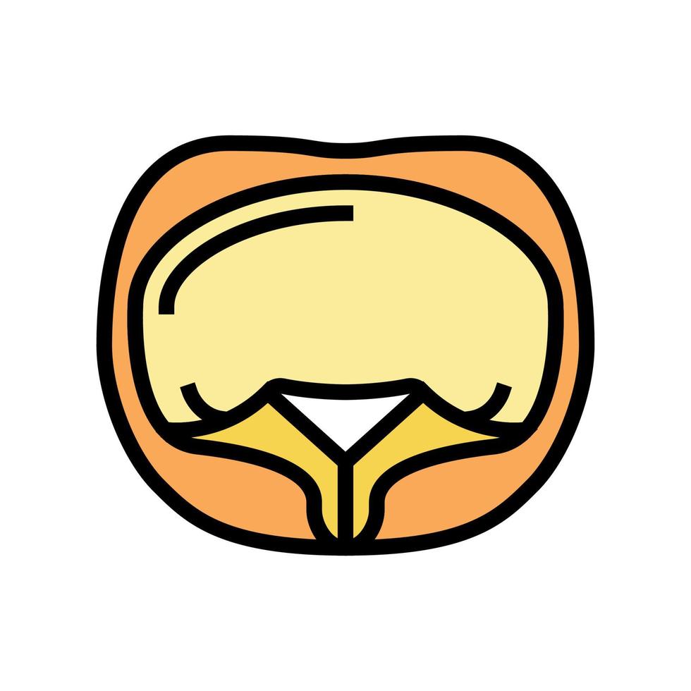 Tortellini Pasta Farbe Symbol Vektor Illustration