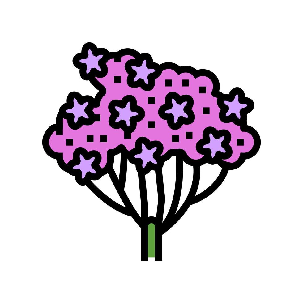 Schafgarbenpflanze Farbe Symbol Vektor Illustration