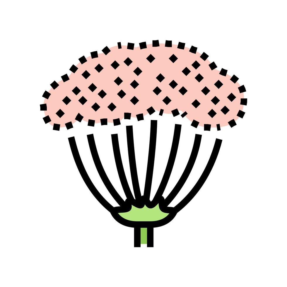 Anis Pflanze Farbe Symbol Vektor Illustration