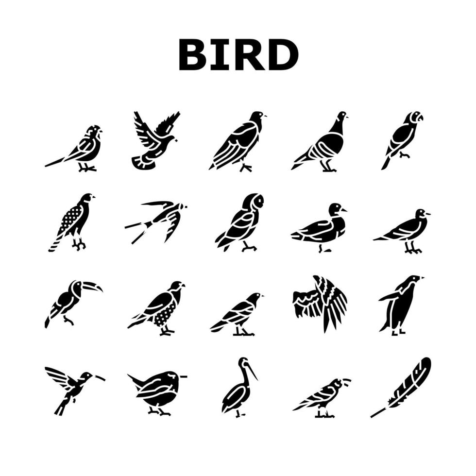 fågel flygande djur med fjäder ikoner set vektor
