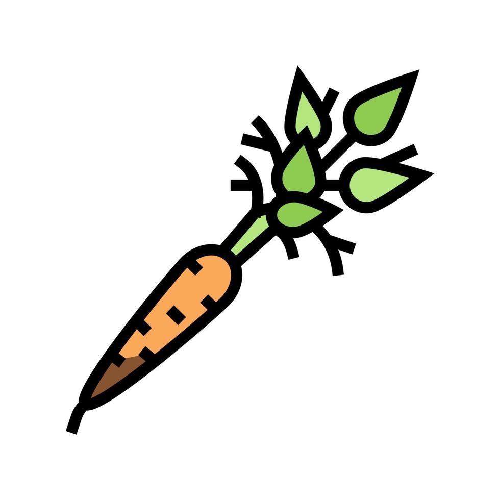 rohe Karotte Farbe Symbol Vektor Illustration