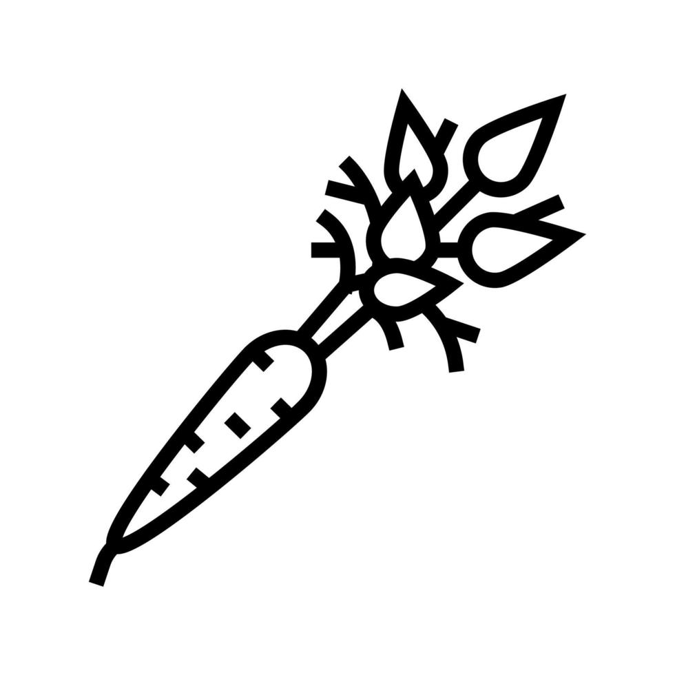 rohe Karottenlinie Symbol Vektor Illustration