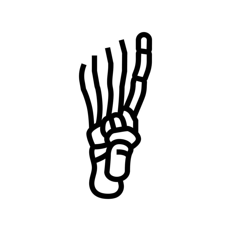 Fußknochenlinie Symbol Vektor Illustration