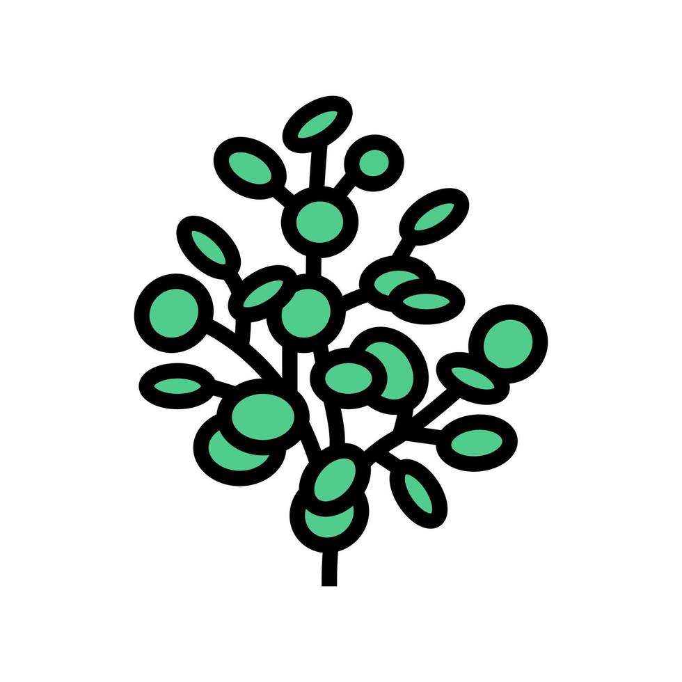 eukalyptus aromaterapi färg ikon vektor isolerade illustration