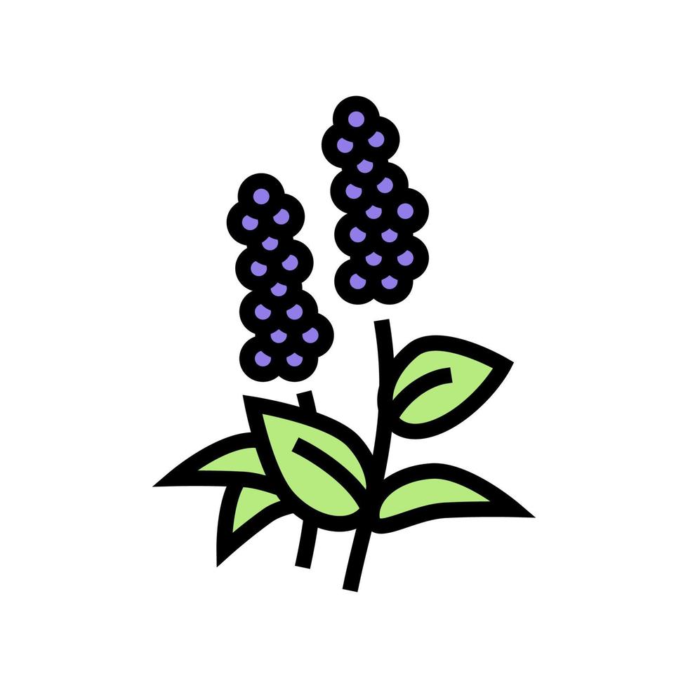 patchouli blommor aromterapi färg ikon vektor isolerade illustration