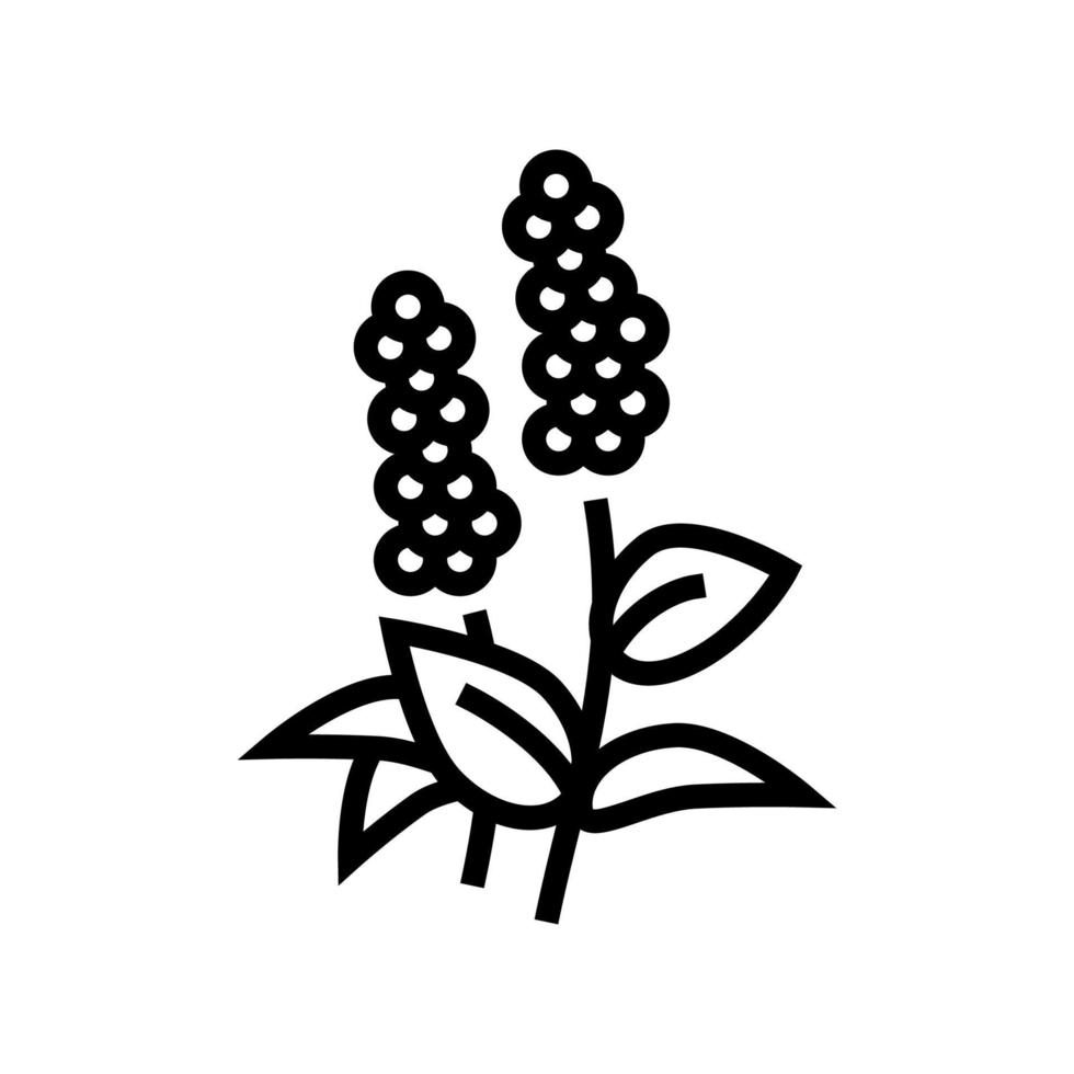 Patschuli-Blüten Aromatherapie Linie Symbol Vektor isolierte Illustration