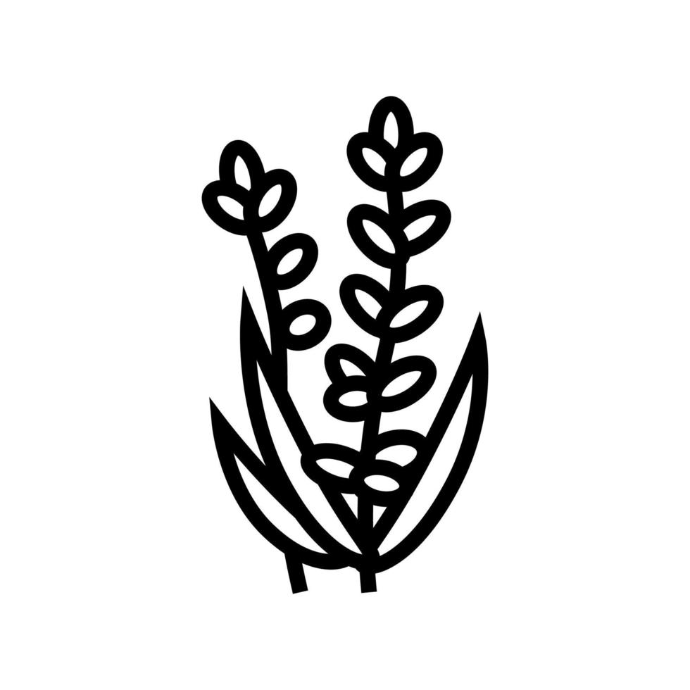 lavendel blomma aromaterapi linje ikon vektor isolerade illustration