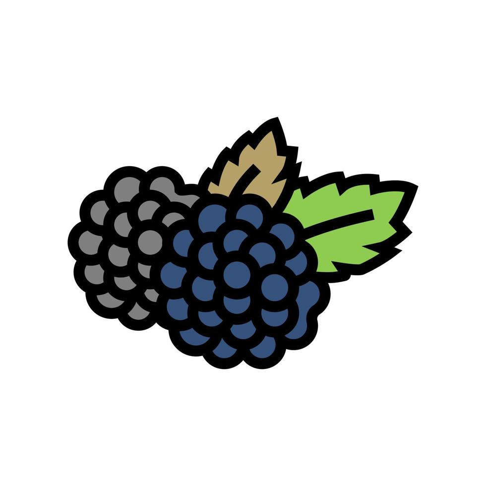 blackberry berry färg ikon vektor illustration