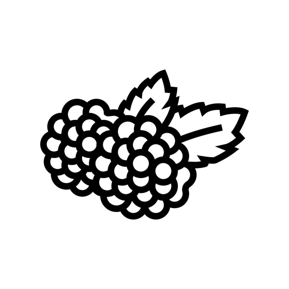 Brombeere Beere Symbol Leitung Vektor Illustration