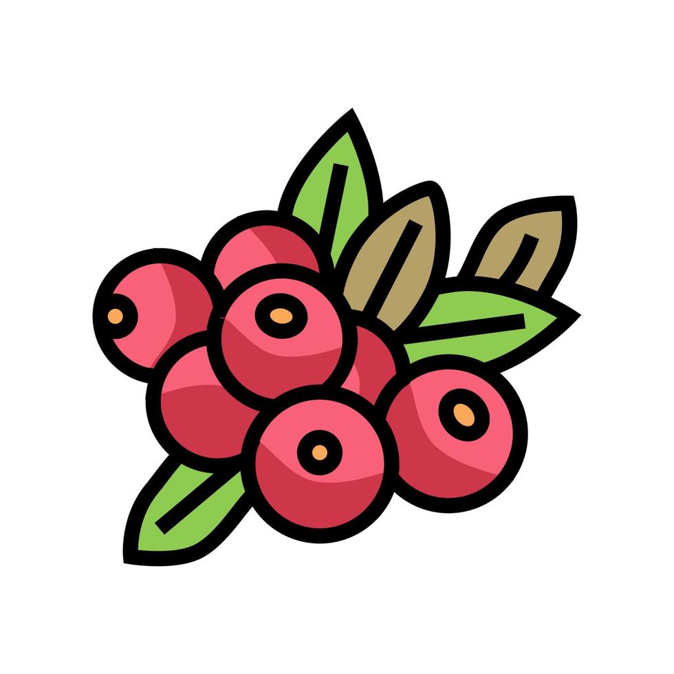 Cranberry Beere Farbe Symbol Vektor Illustration