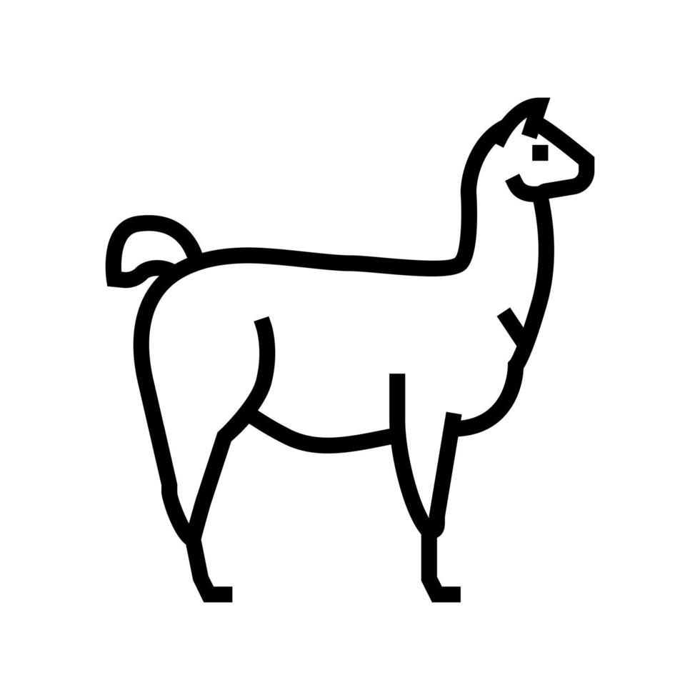 lama wildes tier linie symbol vektor illustration