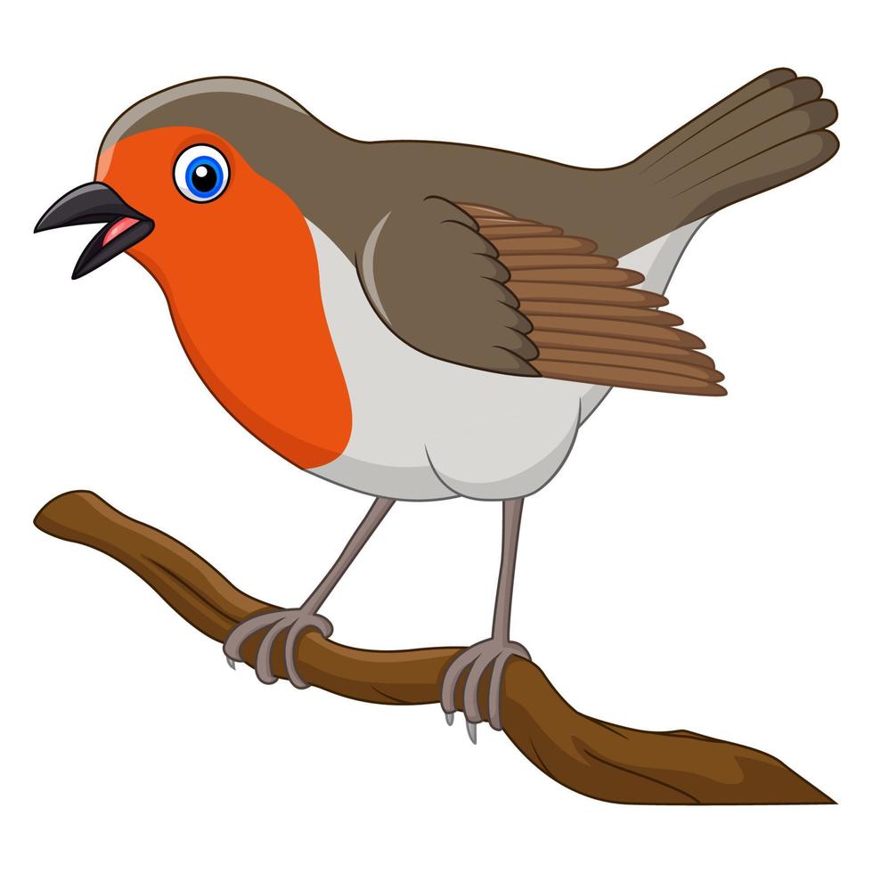 Cartoon schöner Rotkehlchen-Vogel vektor