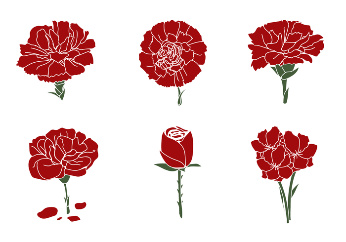 Gratis Carnation Vector