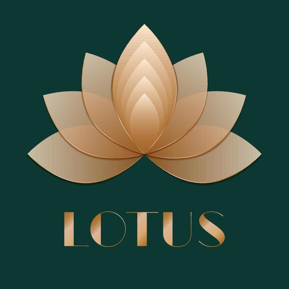 guld lotusblomma logotyp, ikon, gratulationskort på vit bakgrund. vektor illustration.