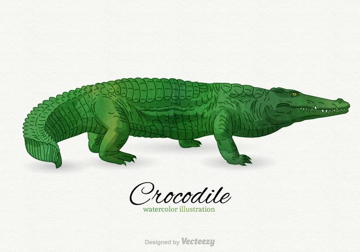 Gratis Crocodile Vector Illustration