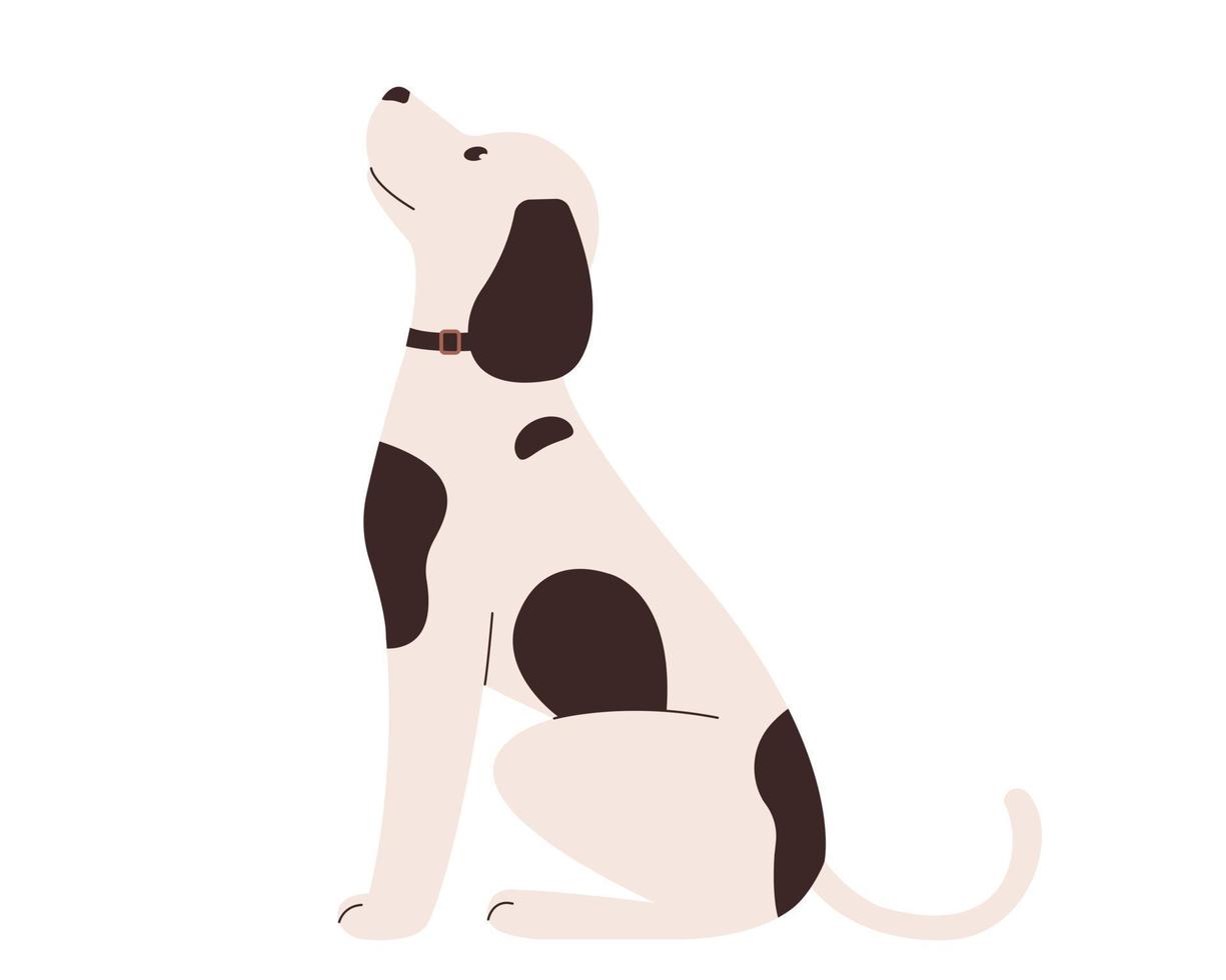 süßer gefleckter Hund. weißer hund mit schwarzen flecken vektor