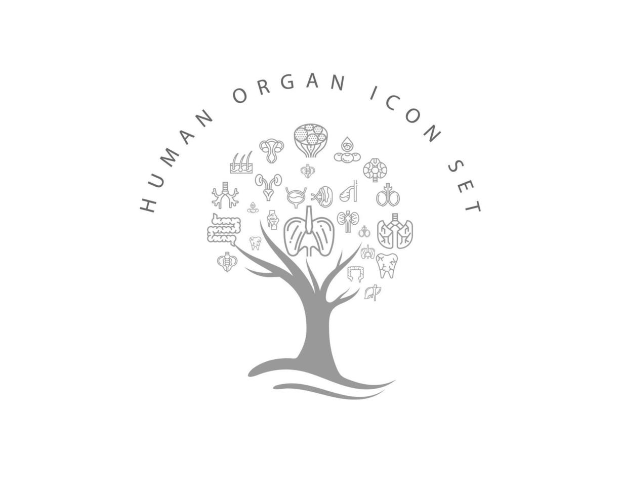 Symbol für menschliches Organ auf weißem Hintergrund vektor