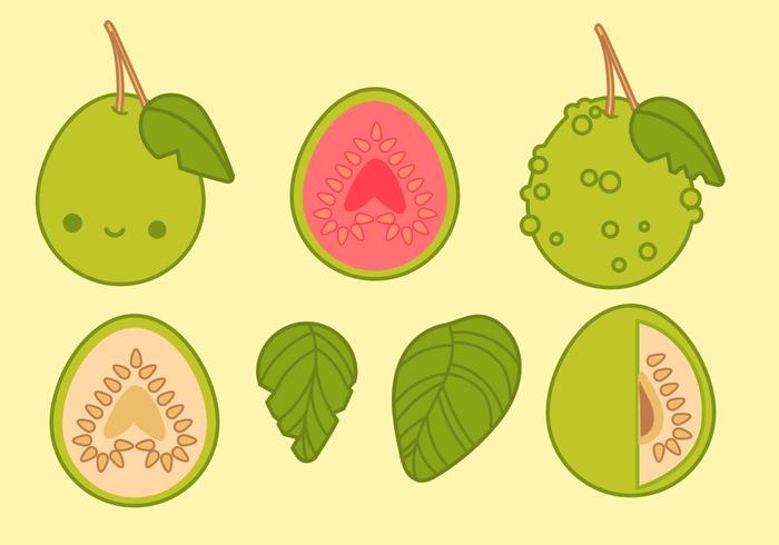 Söt Guava Vektorer