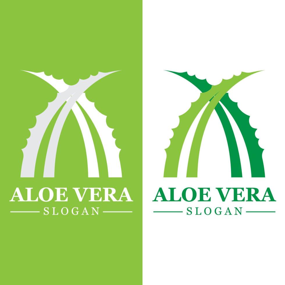 grön växt aloe vera logotyp vektor ikon symbol många fördelar