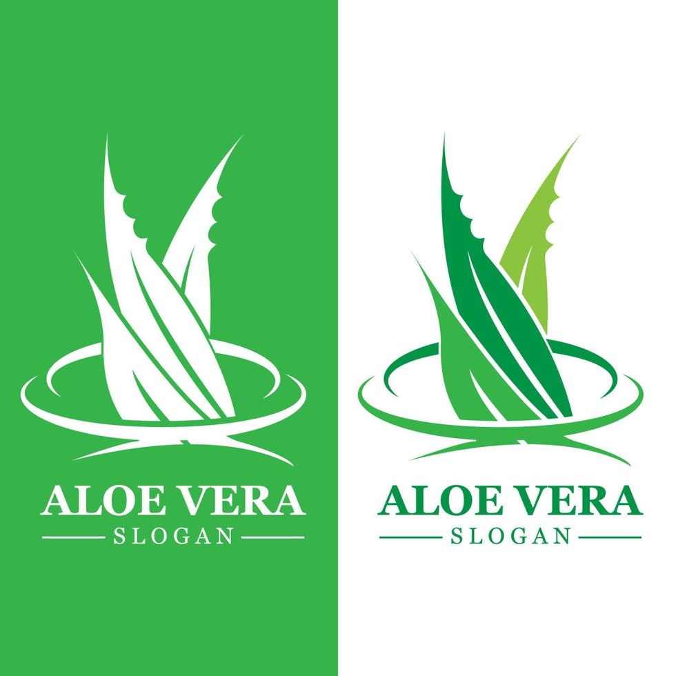 grön växt aloe vera logotyp vektor ikon symbol många fördelar