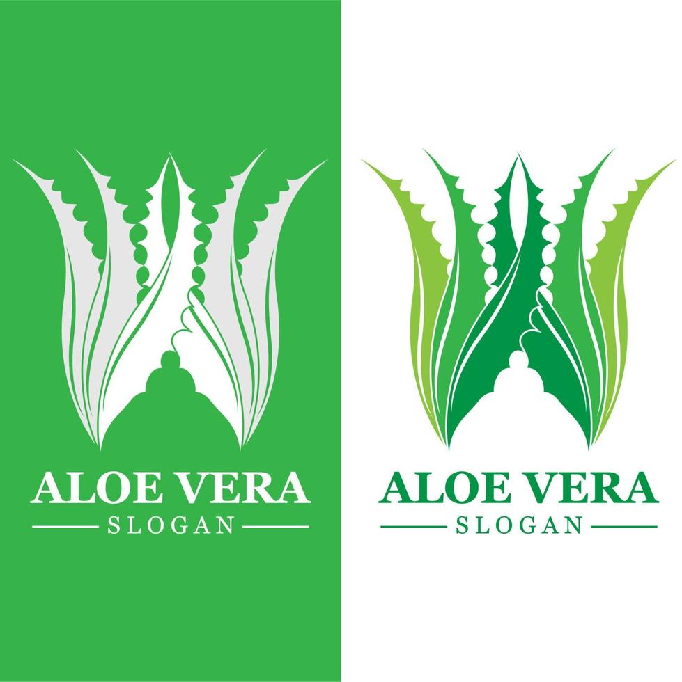 Grüne Pflanze Aloe Vera Logo Vektorsymbol Symbol viele Vorteile vektor