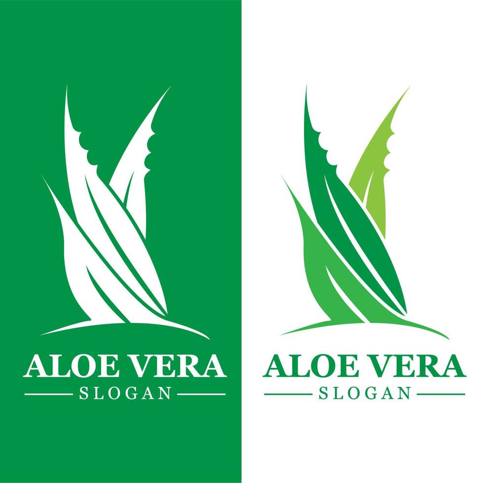 grön växt aloe vera logotyp vektor ikon symbol många fördelar