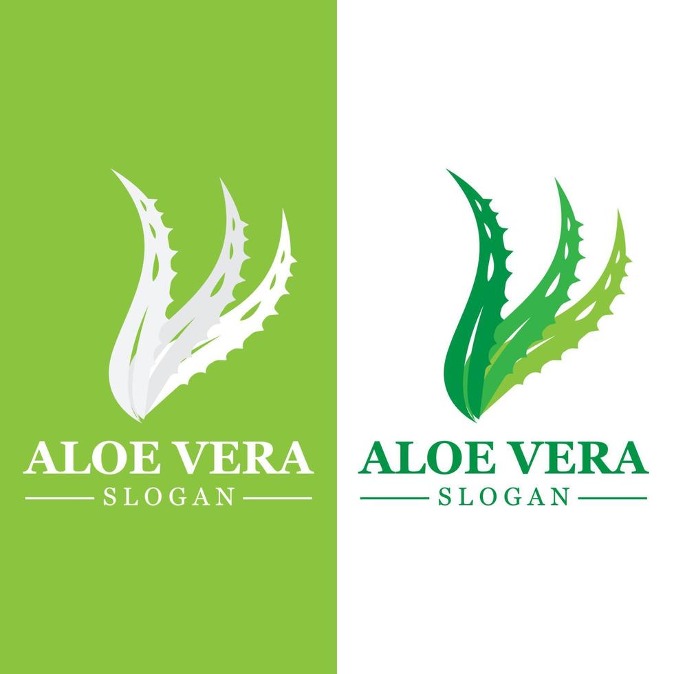 grön växt aloe vera logotyp vektor ikon symbol många fördelar