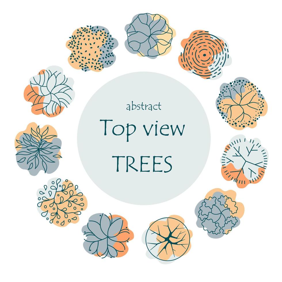 träd för arkitektoniska planritningar. entourage design. olika träd, buskar och buskar, ovanifrån för landskapsdesignplanen. vektor