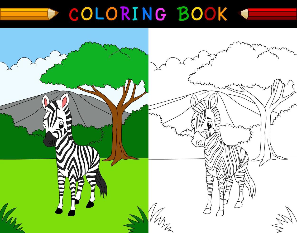 Cartoon-Zebra-Malbuch vektor