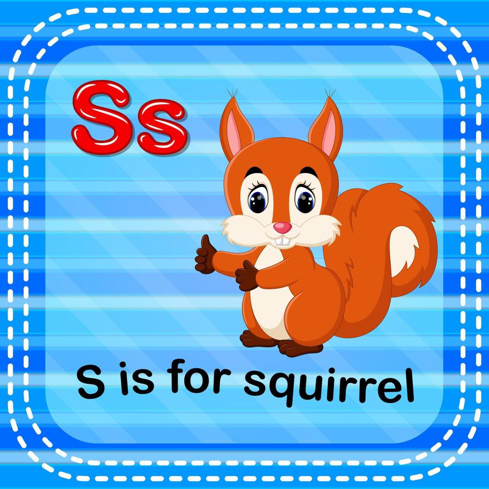 karteibuchstabe s steht für eichhörnchen vektor