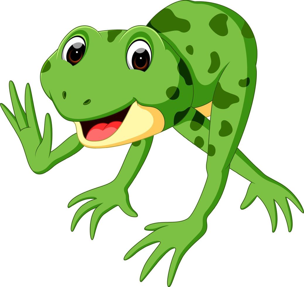 niedlicher Frosch Cartoon vektor