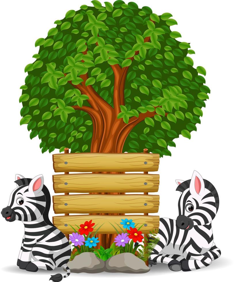 två zebror framför en tom träskylt vektor
