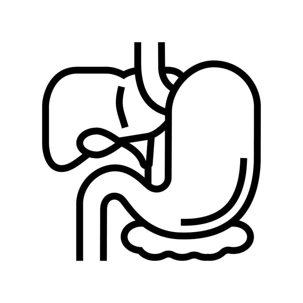 mag-tarmkanalen linje ikon vektorillustration vektor