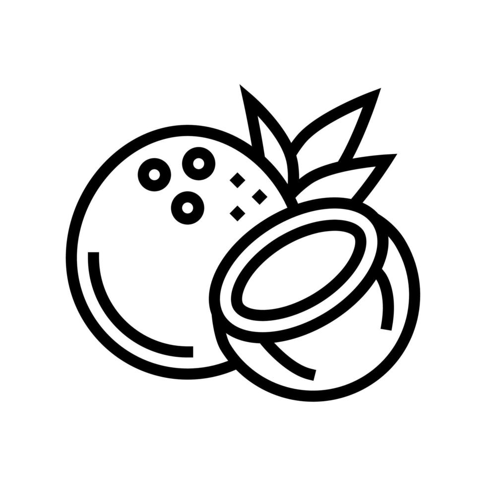 Kokosnuss exotische Nusslinie Symbol Vektor Illustration