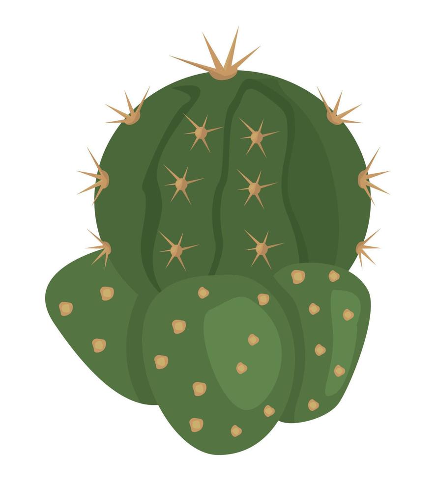 kaktus exotisk växt vektor