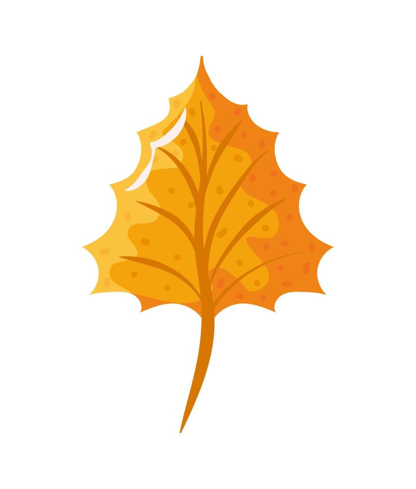Herbstblatt isoliert vektor