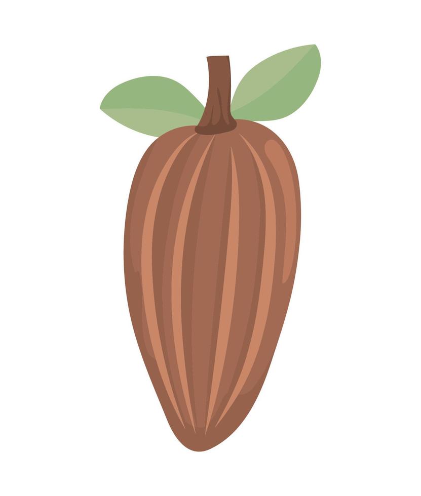 Kakao-Natur-Symbol vektor