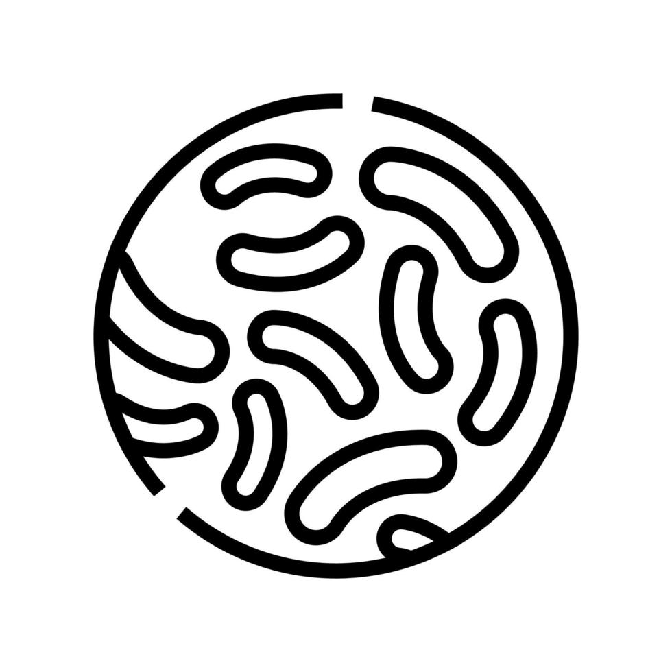 Lactococcus Probiotika Symbol Leitung Vektor Illustration