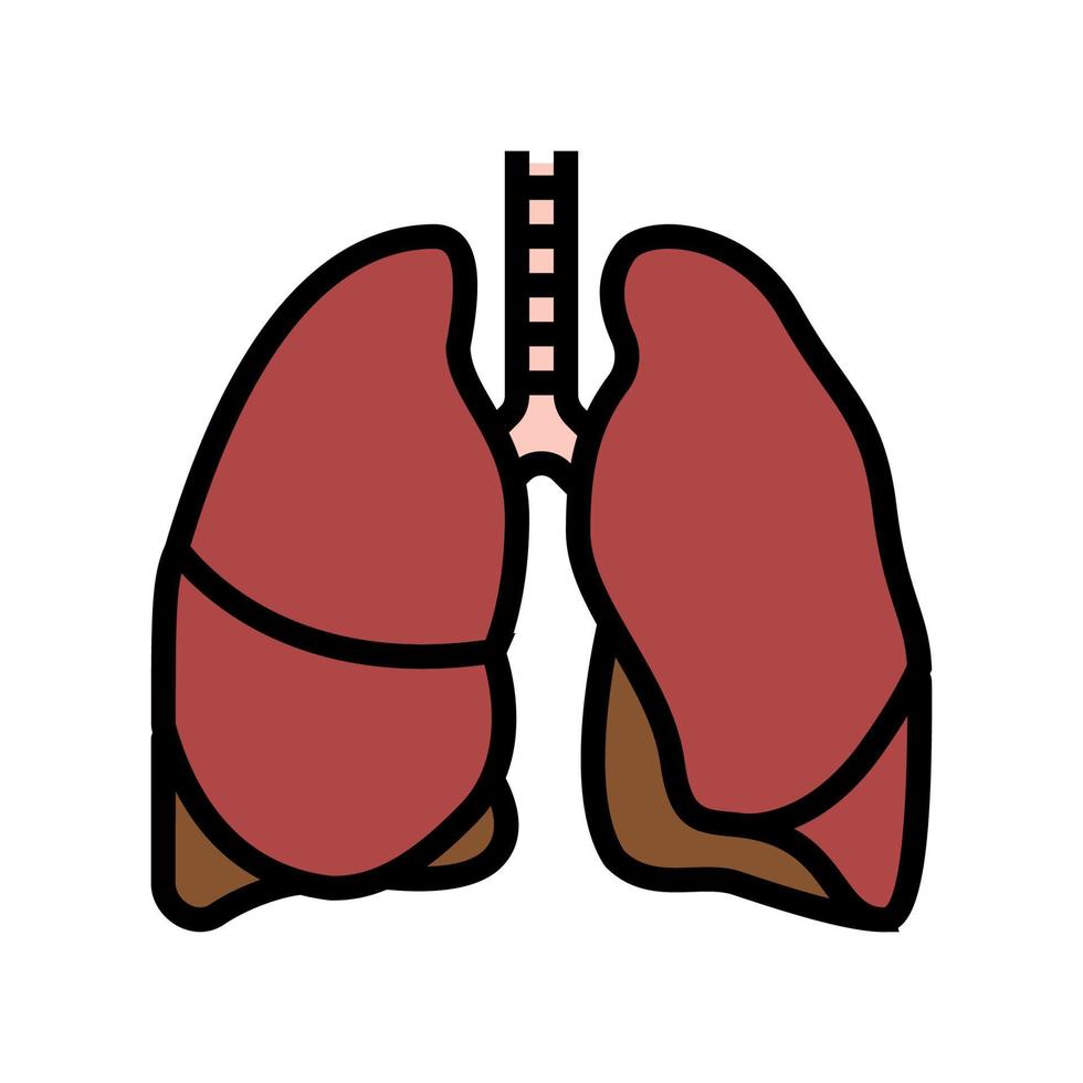 lunga mänskliga organ färg ikon vektorillustration vektor