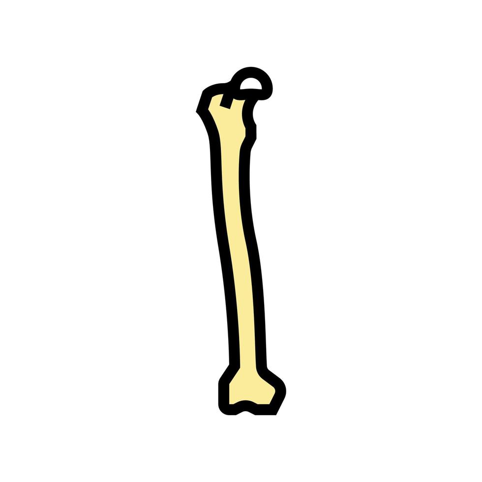 Oberschenkelknochen Farbe Symbol Vektor Illustration