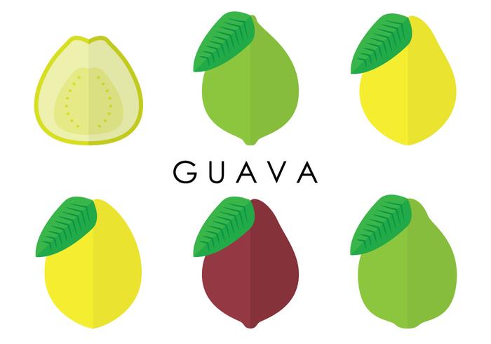 Guave Varianten Vektoren