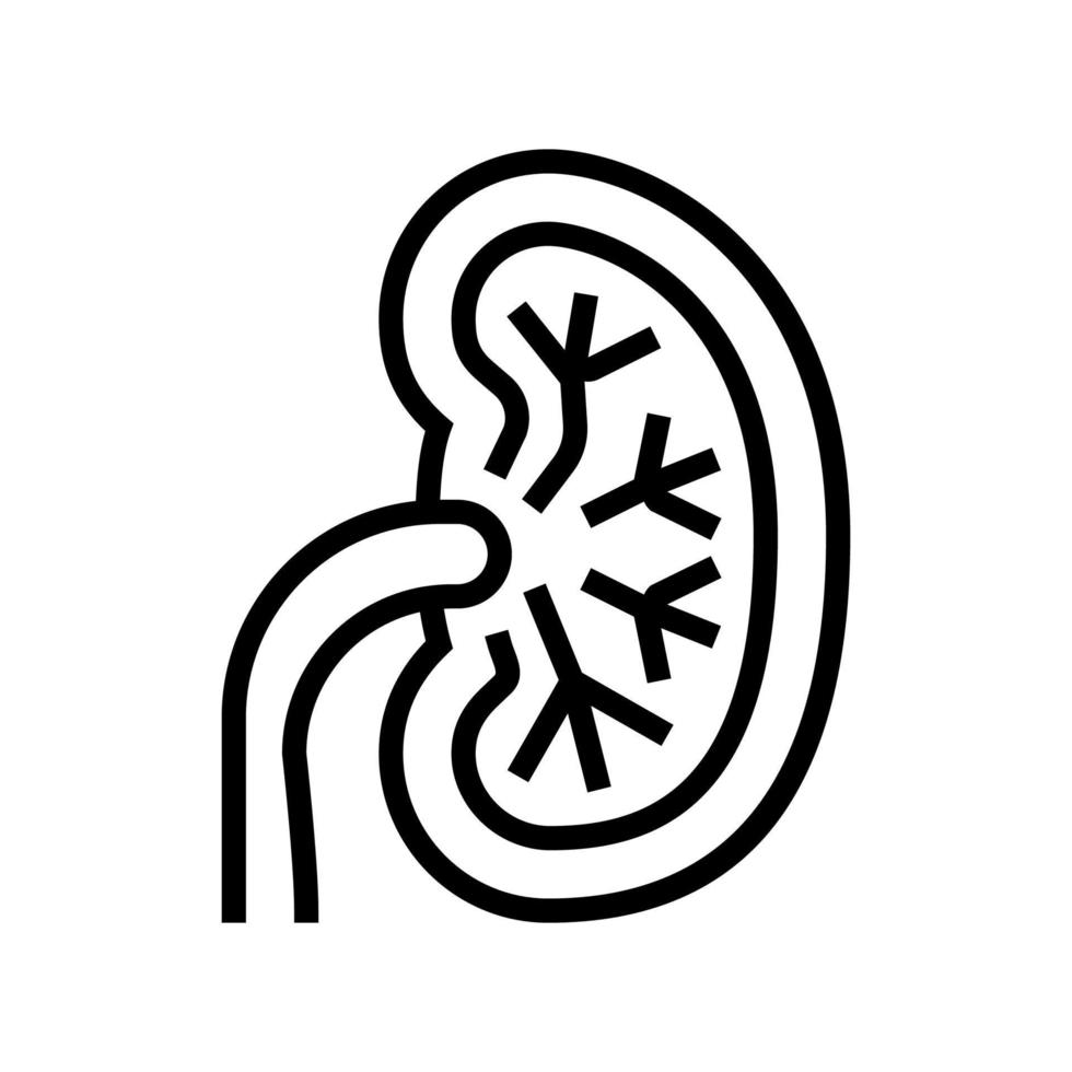 ungesunde Nierenlinie Symbol Vektor Illustration