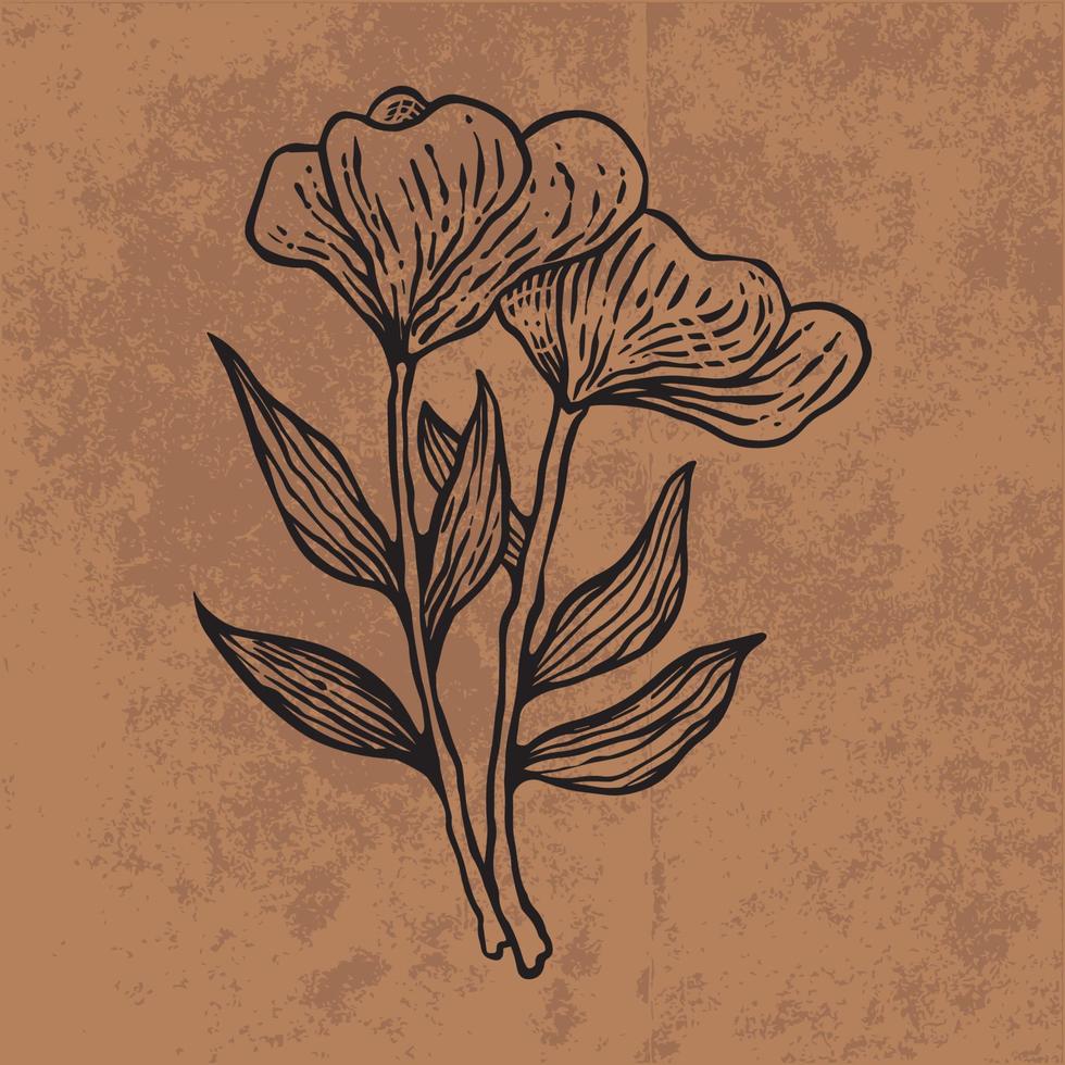 botaniska blad doodle vildblomma linjekonst. handritad vektorillustration. vintage blommig kontur. lämplig för tapeter, affischer, klistermärken, innehåll sociala medier vektor