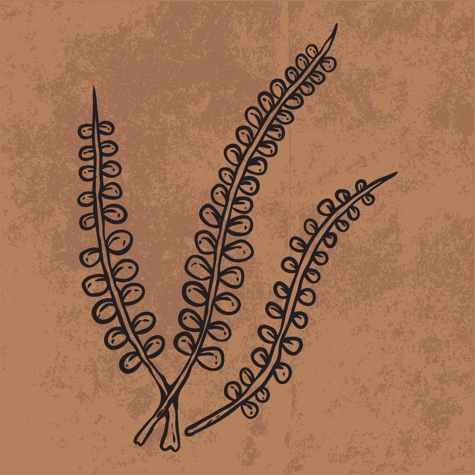 botaniska blad doodle vildblomma linjekonst. handritad vektorillustration. vintage blommig kontur. lämplig för tapeter, affischer, klistermärken, innehåll sociala medier vektor