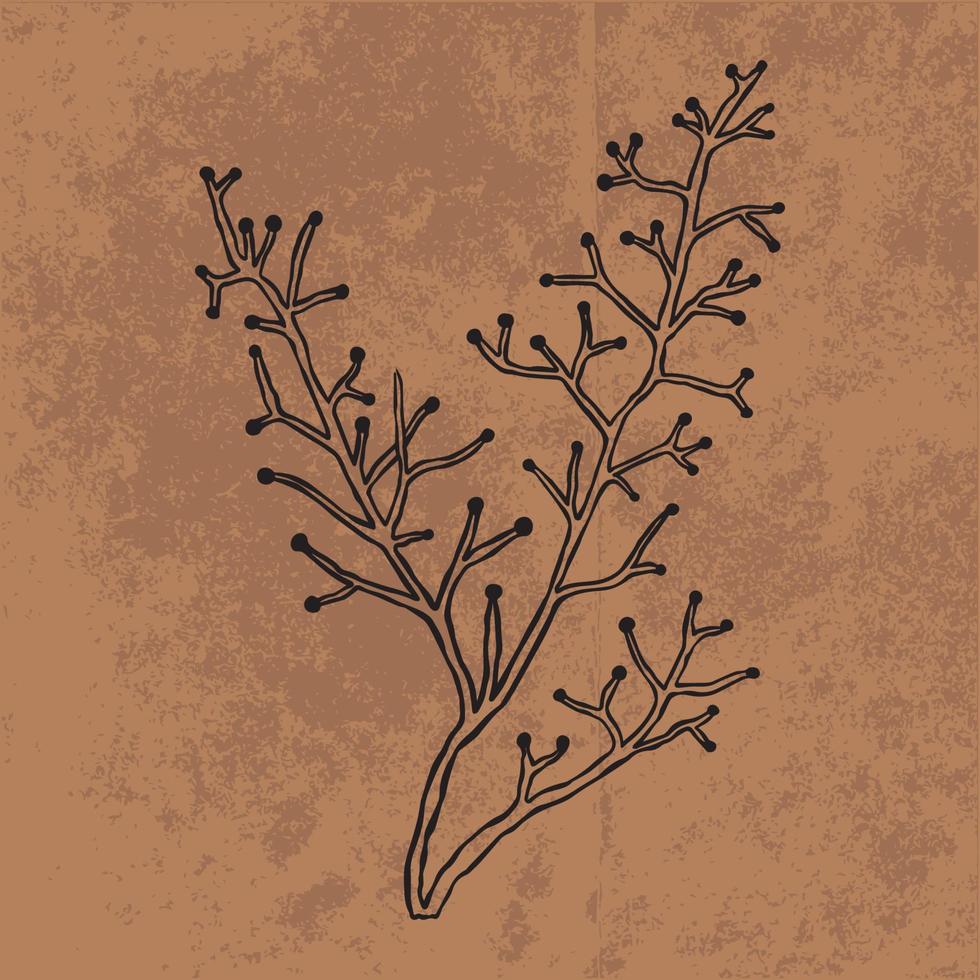 botaniska blad doodle vildblomma linjekonst. handritad vektorillustration. vintage blommig kontur. lämplig för tapeter, affischer, klistermärken, innehåll sociala medier vektor