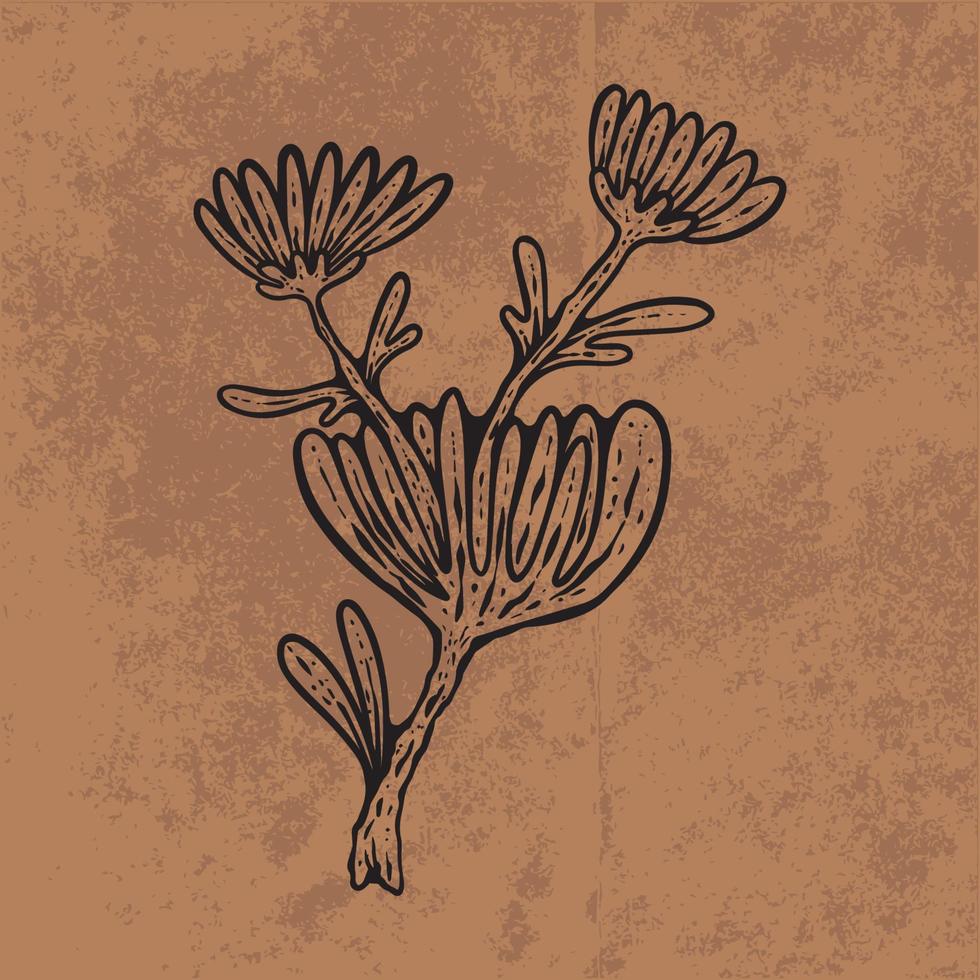 Botanisches Blatt Doodle Wildblumen Strichzeichnungen. hand gezeichnete vektorillustration. Vintage Blumenumriss. geeignet für Tapeten, Poster, Aufkleber, Inhalte sozialer Medien vektor