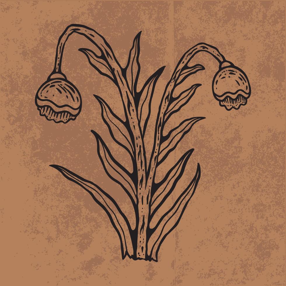 Botanisches Blatt Doodle Wildblumen Strichzeichnungen. hand gezeichnete vektorillustration. Vintage Blumenumriss. geeignet für Tapeten, Poster, Aufkleber, Inhalte sozialer Medien vektor